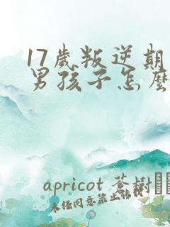 17岁叛逆期的男孩子怎么去引导