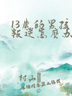 13岁的男孩子叛逆怎么办