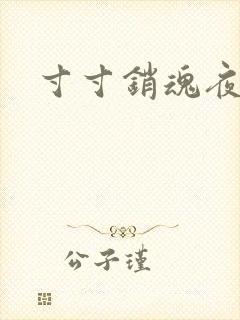 寸寸销魂夜春光