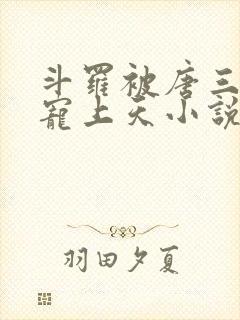 斗罗被唐三哥哥宠上天小说