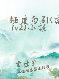 极度勾引(高h 1v2)小说