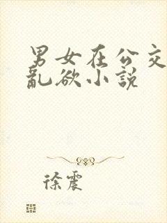 男女在公交车上乱欲小说