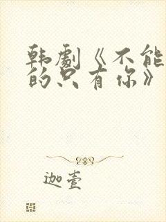 韩剧《不能错过的只有你》免费观看