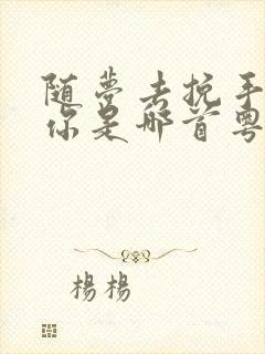 随梦去挽手可跟你是哪首粤语歌词