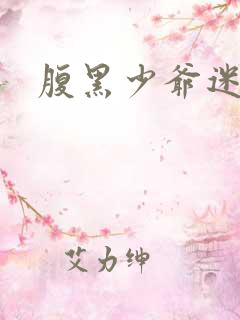 腹黑少爷迷糊妻