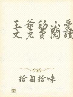 王爷的小爱妃全文免费阅读