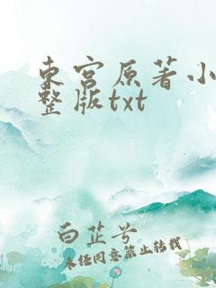东宫原著小说完整版txt
