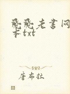 飞飞老书网盘全本txt