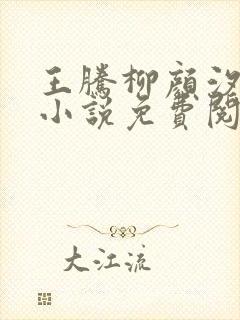 王腾柳颜汐穿越小说免费阅读