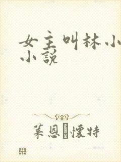 女主叫林小冉的小说