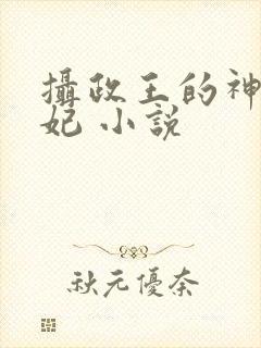 摄政王的神医毒妃 小说