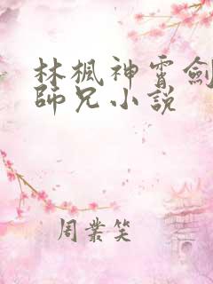 林枫神霄剑宗大师兄小说