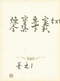 炼宝专家txt全集下载