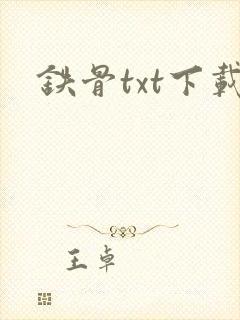 铁骨txt下载