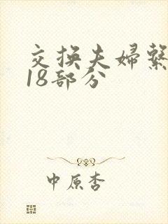 交换夫妇系列第18部分