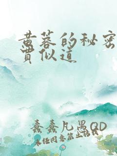 黄蓉的秘密小说贾似道