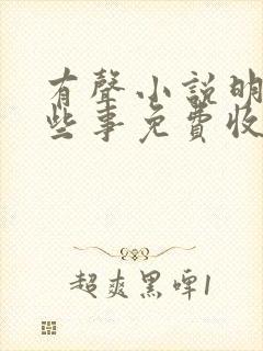 有声小说明朝那些事免费收听