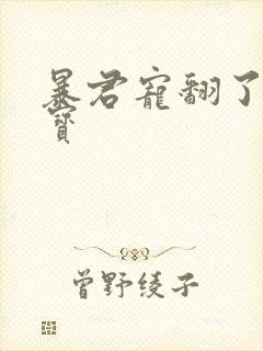 暴君宠翻了小娇宝