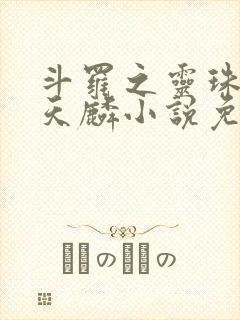 斗罗之灵珠神剑天麟小说免费阅读全文无窗口