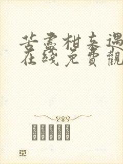 苦尽柑来遇见你在线免费观看完整版