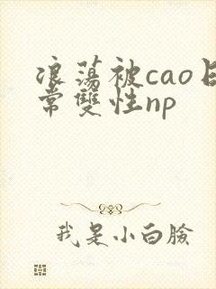 浪荡被cao日常双性np