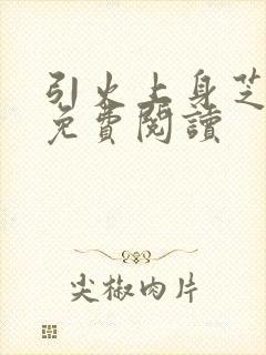 引火上身芝麻糖免费阅读