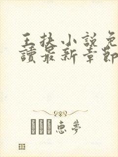 王扶小说免费阅读最新章节无弹窗