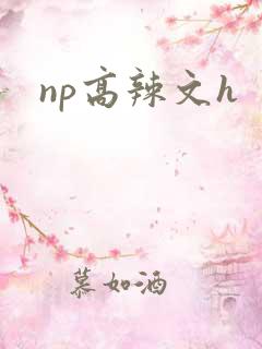 np高辣文h