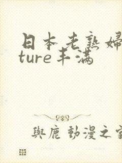 日本老熟妇mature丰满