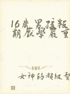 16岁男孩叛逆期厌学严重怎么办