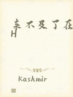 来不及了在车CH