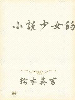 小说少女的心