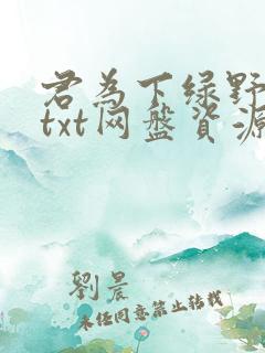 君为下绿野千鹤txt网盘资源