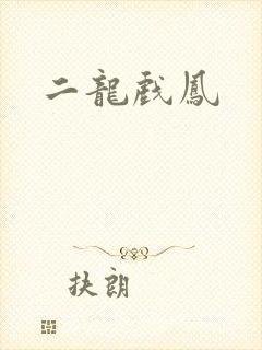 二龙戏凤