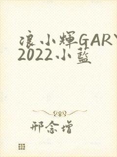 浪小辉GARY2022小蓝
