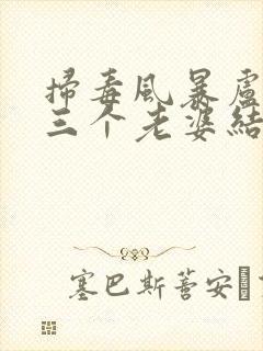 扫毒风暴卢少桦三个老婆结局