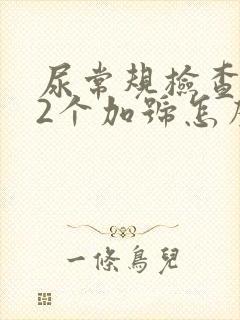 尿常规检查隐血2个加号怎么回事