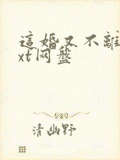 这婚又不离了txt网盘