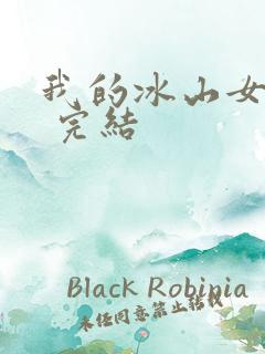 我的冰山女总裁 完结