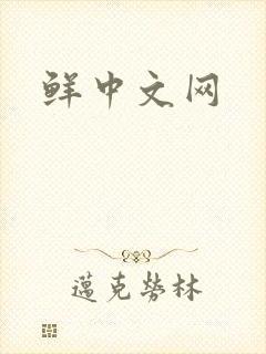 鲜中文网