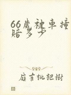 66岁被车撞死赔多少