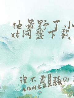 他最野了小说txt网盘下载