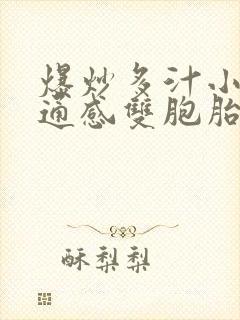 爆炒多汁小美人通感双胞胎