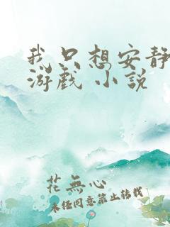 我只想安静地打游戏 小说