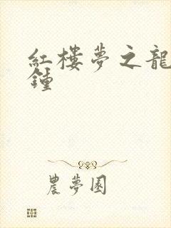 红楼梦之龙套秦钟