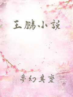王鹏小说