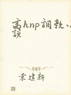 高hnp调教小说