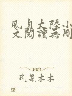 风月大陆小说全文阅读无删减