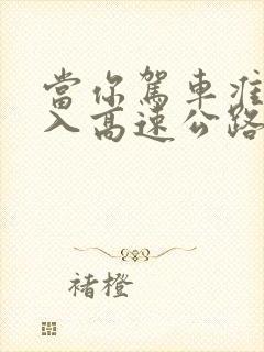 当你驾车准备驶入高速公路时你应该选择