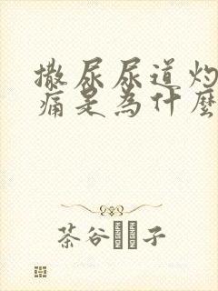 撒尿尿道灼热刺痛是为什么